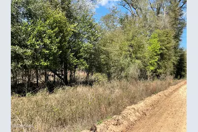 0 Speights Way, Bascom, FL 32423 - Photo 3