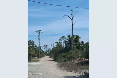 332 Blue Heron Drive, Port Saint Joe, FL 32456 - Photo 3