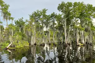 4403 Bluewater Dr, Panama City, FL 32404 - Photo 73