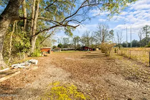 3957 Hwy 2, Graceville, FL 32440 - Photo 7