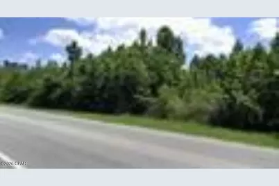 Xxxxx NW County Road 12, Bristol, FL 32321 - Photo 3