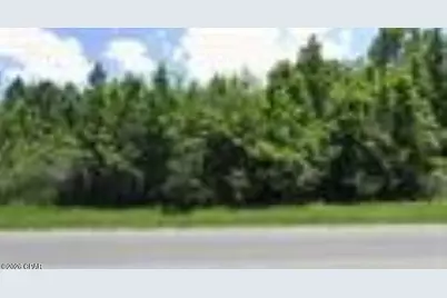 Xxxxx NW County Road 12, Bristol, FL 32321 - Photo 5