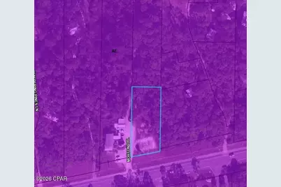 1133 Cape San Blas Road, Port Saint Joe, FL 32456 - Photo 7