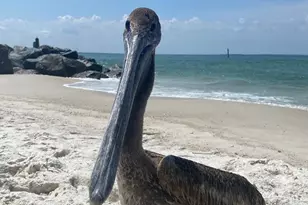 106 S 25th St, Mexico Beach, FL 32456 - Photo 67