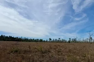 23 Acres Davenport Rd, Marianna, FL 32448 - Photo 1