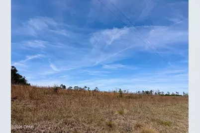 23 Acres Davenport Road, Marianna, FL 32448 - Photo 3