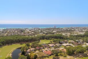 337 Indigo Loop, Miramar Beach, FL 32550 - Photo 61