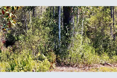 917 Watermark Way, Panama City, FL 32404 - Photo 7