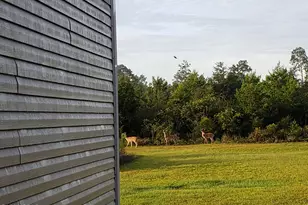 22985 NW Lamont Rd, Fountain, FL 32438 - Photo 7