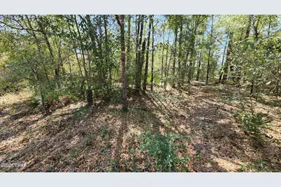 000 Edgewood Road, Fountain, FL 32438 - Photo 3