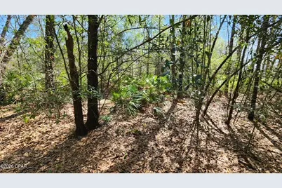 000 Edgewood Road, Fountain, FL 32438 - Photo 5