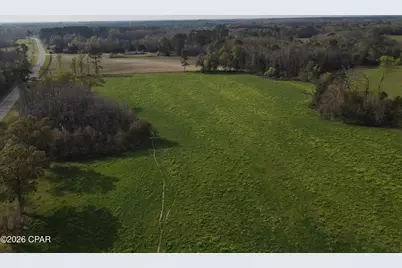 2344 Highway 179A, Westville, FL 32464 - Photo 3