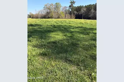 2344 Highway 179A, Westville, FL 32464 - Photo 23