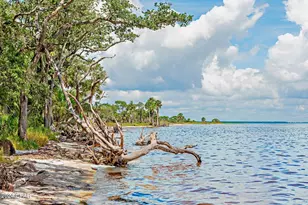 110 Seagrass Cir, Port Saint Joe, FL 32456 - Photo 85