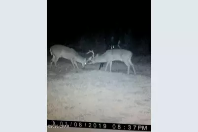 122Ac Hwy 179, Bonifay, FL 32425 - Photo 19