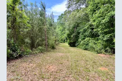 122Ac Hwy 179, Bonifay, FL 32425 - Photo 13