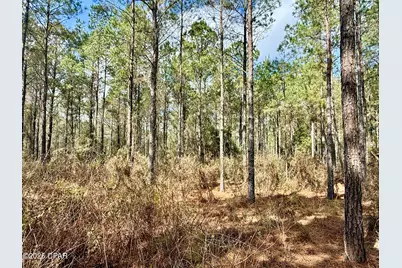 122Ac Hwy 179, Bonifay, FL 32425 - Photo 29