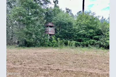 122Ac Hwy 179, Bonifay, FL 32425 - Photo 9