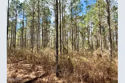 122Ac Hwy 179, Bonifay, FL 32425 - Photo 3