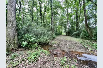 122Ac Hwy 179, Bonifay, FL 32425 - Photo 5