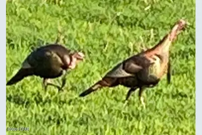 122Ac Hwy 179, Bonifay, FL 32425 - Photo 21