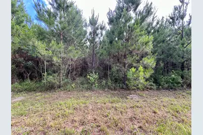 122Ac Hwy 179, Bonifay, FL 32425 - Photo 35