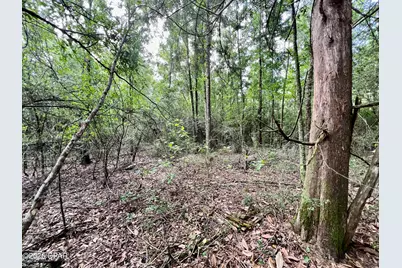 122Ac Hwy 179, Bonifay, FL 32425 - Photo 37