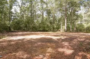 1160 Chance Rd, Chipley, FL 32428 - Photo 3