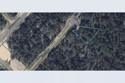 38 Malaluka Court, Chipley, FL 32428 - Photo 5