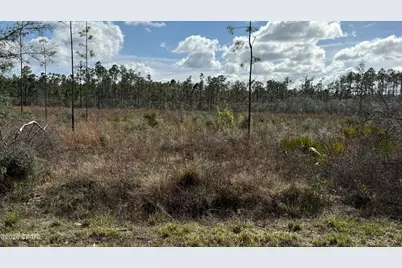 21703 Beech Valley Valley, Altha, FL 32421 - Photo 3