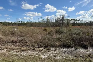 21703 Beech Valley Valley, Altha, FL 32421 - Photo 1