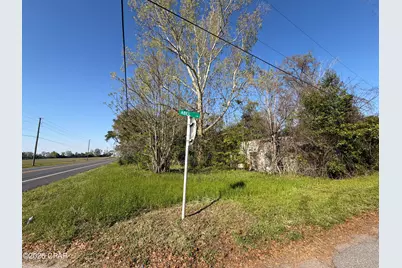 3736 Highway 71, Marianna, FL 32446 - Photo 5