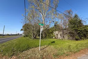 3736 Hwy 71, Marianna, FL 32446 - Photo 5