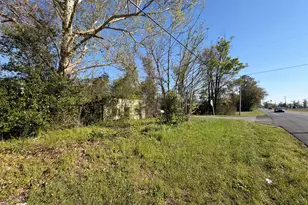 3736 Hwy 71, Marianna, FL 32446 - Photo 3