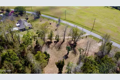 703 W River Road, Wewahitchka, FL 32465 - Photo 5