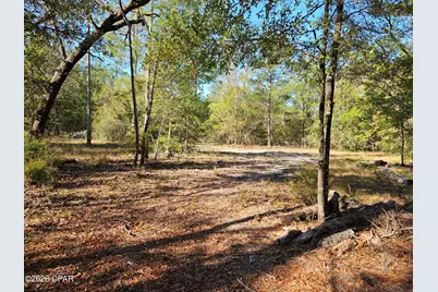 000 Preakness Place, Chipley, FL 32428 - Photo 3