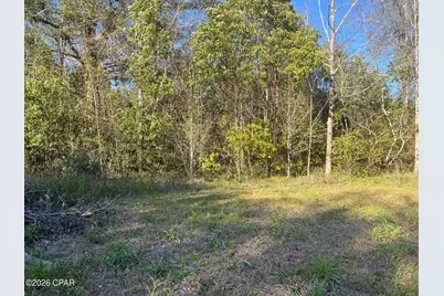 00 Main Street, Grand Ridge, FL 32442 - Photo 3