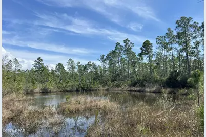 12816 Piercy Road, Panama City, FL 32404 - Photo 3