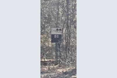 00 Canopy Oak Blvd, Bonifay, FL 32425 - Photo 3