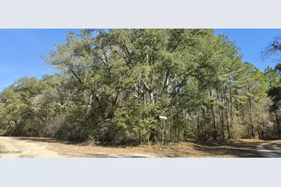 00 Canopy Oak Blvd, Bonifay, FL 32425 - Photo 11