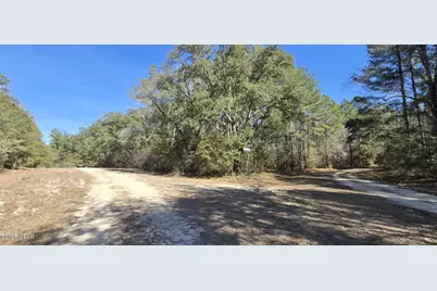 00 Canopy Oak Blvd, Bonifay, FL 32425 - Photo 13