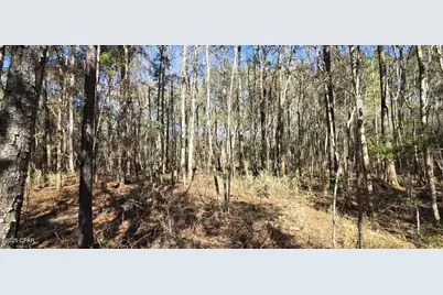 00 Canopy Oak Blvd, Bonifay, FL 32425 - Photo 9
