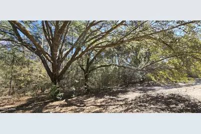 00 Canopy Oak Blvd, Bonifay, FL 32425 - Photo 5