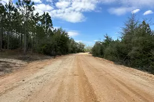 Tract#6418 Mattox Springs Rd, Caryville, FL 32427 - Photo 1