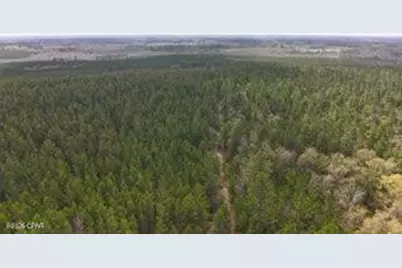Tract#6418 Mattox Springs Road, Caryville, FL 32427 - Photo 1