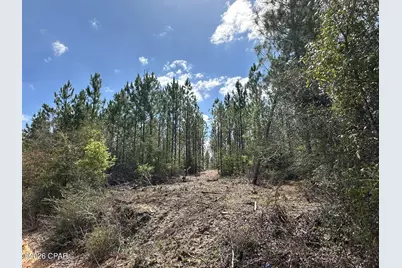 Tract#6418 Mattox Springs Road, Caryville, FL 32427 - Photo 3