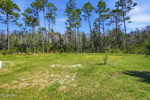 7372 Georgia Ave, Port Saint Joe, FL 32456 - Photo 51