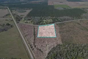 Tbd Lot #1 Carlos Peavy Rd, Blountstown, FL 32424 - Photo 1