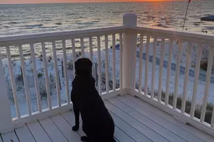 190 Lafayette Dr, Port Saint Joe, FL 32456 - Photo 69