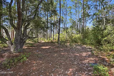 22100 Trumpet Trail, Panama City Beach, FL 32413 - Photo 13